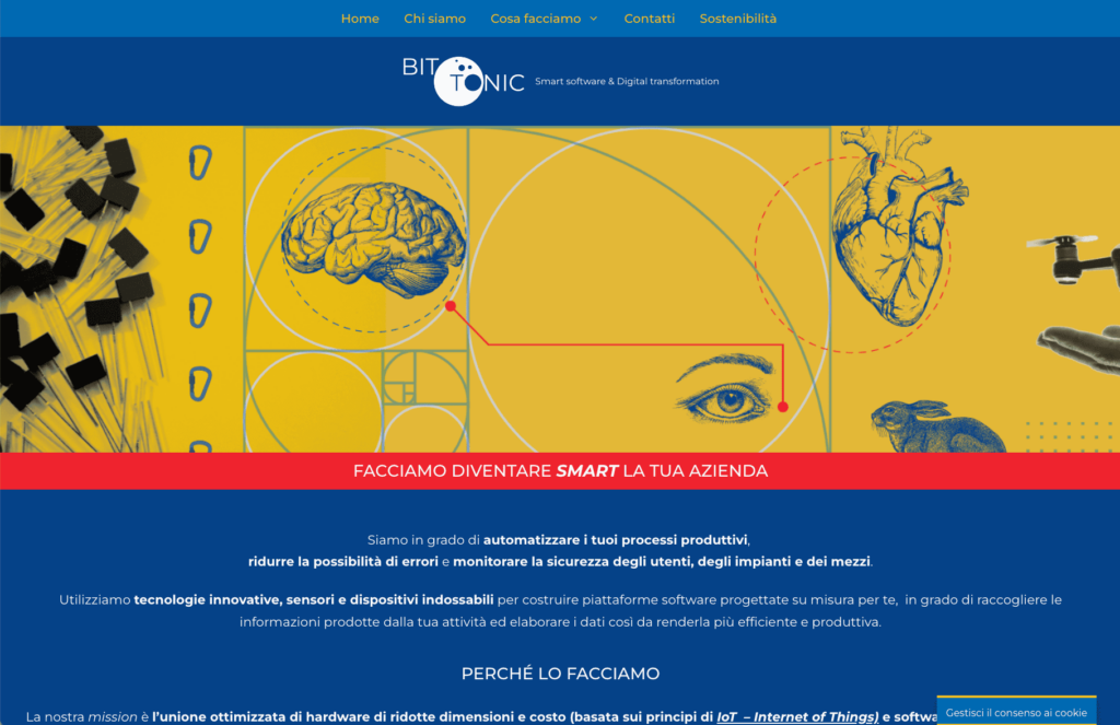 immagine dell'homepage del sito internet di Bit Tonic srl
